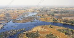 Okavango Delta Library