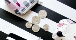 Coin Pouch Library