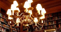 Surrounded Library