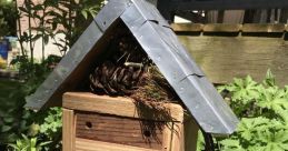 Insect Bed Library
