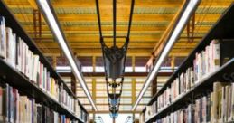 Light Thud Library