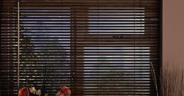 Wooden blinds Library