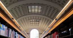 50 Cal Library
