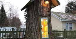 Rotted Trunk Library