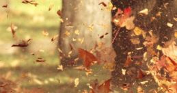 Blowing leaves Library