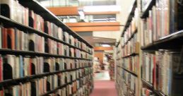Frantic Library