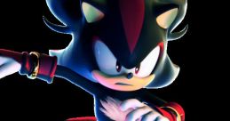 Shadow the Hedgehog (Kirk Thornton)