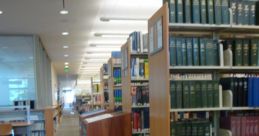 Braun Library