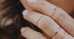 Mid Ring Library