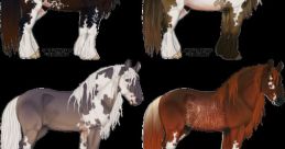 Big horse Library