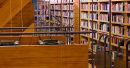 High Rise Library