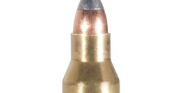 .22 caliber Library