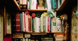 Toilet lid Library