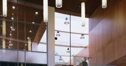 San mateo Library