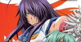 Ikki Tousen: Xross Impact 一騎当千 クロスインパクト - Video Game