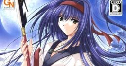 Izumo Complete IZUMO コンプリート - Video Game