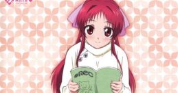 REC: DokiDoki Seiyuu Paradise REC ☆ドキドキ声優パラダイス☆ - Video Game