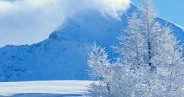 Snow