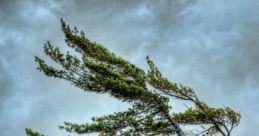 Wind Whether you're looking to add some atmospheric background noise to your film or just want to immerse yourself in the