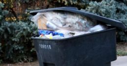 Trash