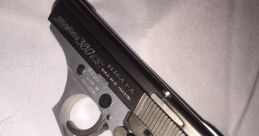 Gun
