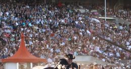 Stampede