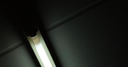 Fluorescent