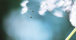 Blowing