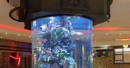 Fishtank