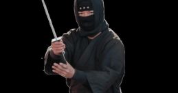 Ninja
