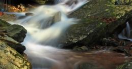Stream