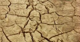 Dry