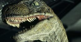 Velociraptor The associated with Velociraptor are truly mesmerizing and haunting. One of the most iconic attributed to