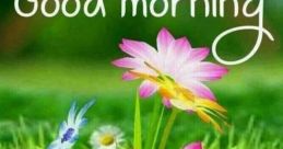 Sunday Sunday is a day filled with unique that evoke a sense of tranquility and reflection. One of the most iconic