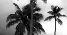 Monsoon