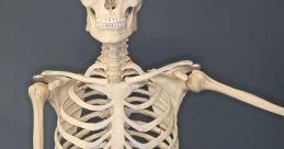 Bone