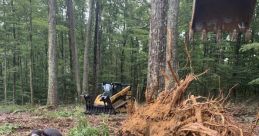 Clearing