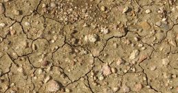Dirt
