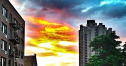 Bronx The Bronx is a bustling borough in New York City, known for its vibrant culture and diverse population. As you