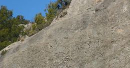 Climbing