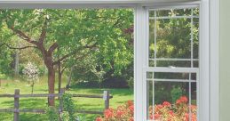 Window