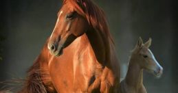 Horses As the sun begins to rise over the horizon, the peaceful stillness of the countryside is suddenly shattered by the