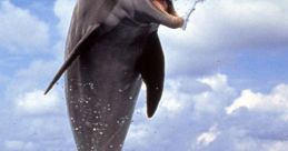 Dolphin