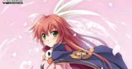 Ouka Sengoku Portable 桜花センゴク Portable - Video Game