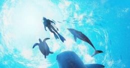 Endless Ocean Luminous Forever Blue Luminous フォーエバーブルー ルミナス - Video Game
