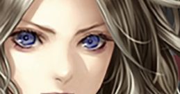 Wizardry: Torawareshi Bourei no Gai Wizardry 囚われし亡霊の街 - Video Game