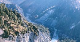 Flims