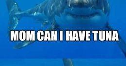 Tuna Meme
