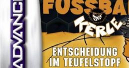 Die Wilden Fussball Kerle: Entscheidung im Teufelstopf - Video Game