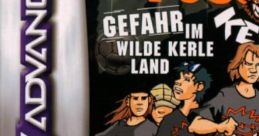 Die Wilden Fussball Kerle: Gefahr im Wilde Kerle Land - Video Game